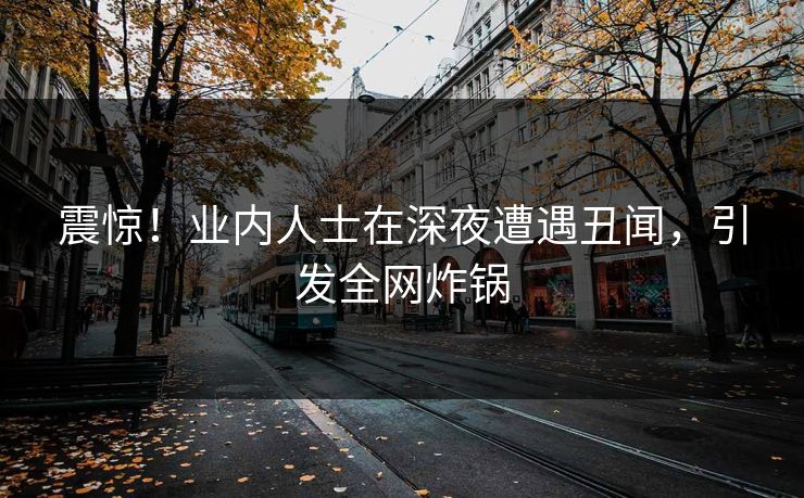 震惊！业内人士在深夜遭遇丑闻，引发全网炸锅