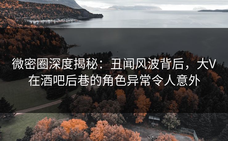 微密圈深度揭秘：丑闻风波背后，大V在酒吧后巷的角色异常令人意外