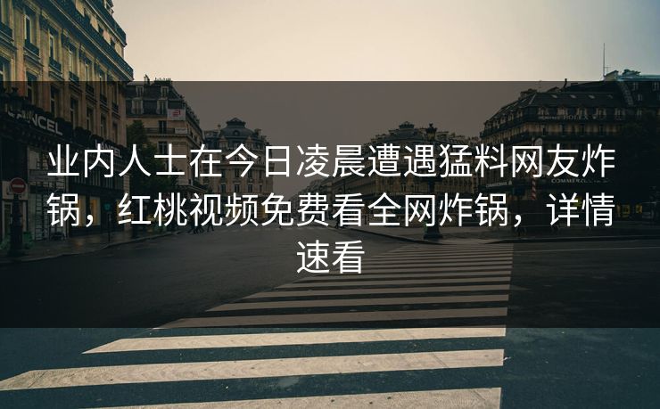 业内人士在今日凌晨遭遇猛料网友炸锅，红桃视频免费看全网炸锅，详情速看